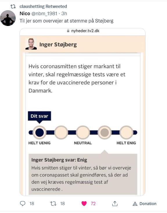 Støjbergs pcr test strategi.JPG